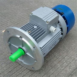 中研紫光BMD8024刹车电机 性能与可靠性解析